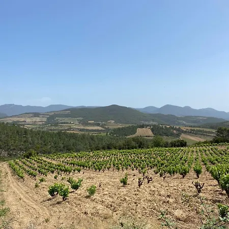 Grand De 100m2 -allee Paul Riquet - 4chambres - Wifi- Tv Connectee * Beziers